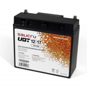 Salicru UBT 12/17 - Batería AGM recargable de 17 Ah