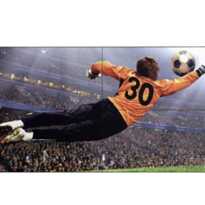 LG 49VL5G-M pantalla mural de vídeo Interior