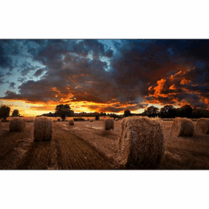 Samsung VM55B-U Interior