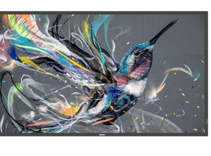 MONITOR PHILIPS 65" Q-LINE / PANEL IPS D-LED 16:9 / 3840X2160 400CD/M2 / 9MS / PIXEL PITCH 0.372X0.372 / VESA 400X400/M8 / SOC MS - 92Q / USO LANDSCAPE / PORTRAIT 18/7 / OPS NO / WIFI NO / 1XRJ45 (65BDL3511Q/00)