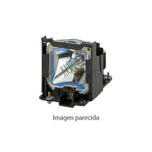 BENQ PROYECTOR ACCESORIOS (5J.JNL05.001) LAMP MODULE TK70
