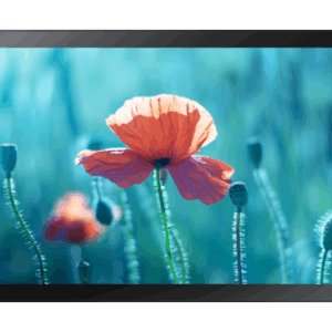 Samsung QB13R-TM Panel plano interactivo 33 cm (13") LED Wifi 500 cd / m² Full HD Negro Pantalla táctil Procesador incorporado Tizen 4.0 16/7