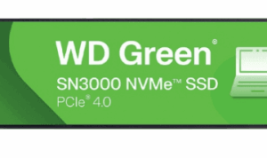 2000G,PCIe NVMe,Polaris3,BiCS6 1Tb QLC,M.2 2280,Vivaldi,WD Green SN3000