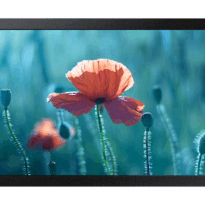 Samsung QB13C 33 cm (13") LCD Wifi 500 cd / m² Full HD Negro 16/7