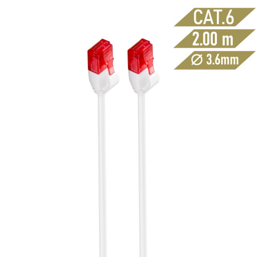 Ewent IM1039 cable de red 2 m Cat6 U/UTP (UTP) Blanco - Imagen 3