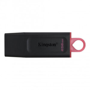 Kingston Technology DataTraveler Exodia unidad flash USB 256 GB USB tipo A 3.2 Gen 1 (3.1 Gen 1) Negro