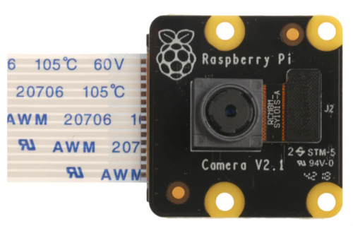 Raspberry Pi PiNoir Camera Module V2.1 Cámara Multicolor - Imagen 2