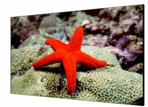 Hikvision Digital Technology DS-D2055HR-G pantalla mural de vídeo LCD Interior