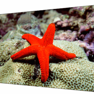 Hikvision Digital Technology DS-D2055HR-G pantalla mural de vídeo LCD Interior