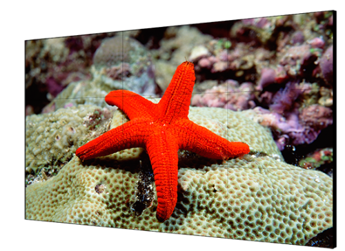 Hikvision Digital Technology DS-D2055HR-G pantalla mural de vídeo LCD Interior