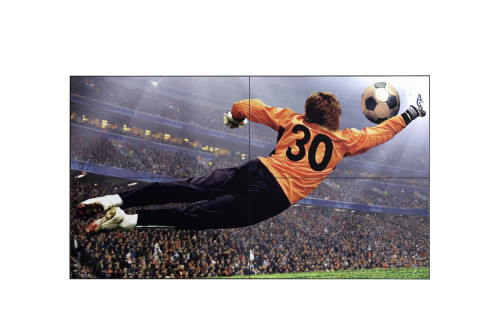 LG 49VL5G-M pantalla mural de vídeo Interior - Imagen 2