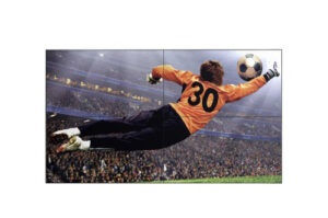 LG 49VL5G-M pantalla mural de vídeo Interior