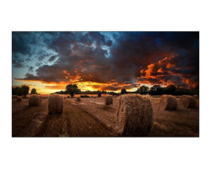 Samsung LH46VMBUBGBXEN pantalla mural de vídeo LCD Interior