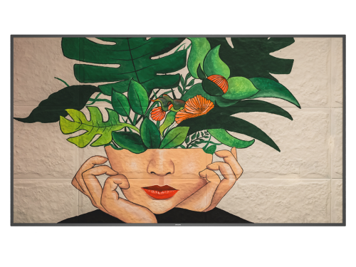 MONITOR PHILIPS 75" D-LINE / PANEL IPS 8BIT D-LED 16:9 / 3840X2160 500CD/M2 / 8 MS / PIXEL PITCH 0.4296 X 0.4296 / VESA 600X400/M8 / SOC MS - 92Q / USO LANDSCAPE / PORTRAIT / OPS SI / WIFI NO / 1XRJ45 (75BDL4511D/00) - Imagen 2