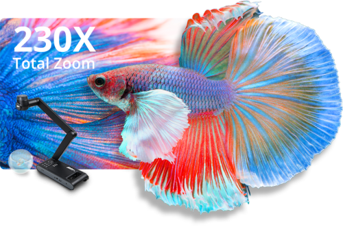 AVer M70W cámara de documentos Negro 25,4 / 3,2 mm (1 / 3.2") CMOS USB 2.0 - Imagen 18