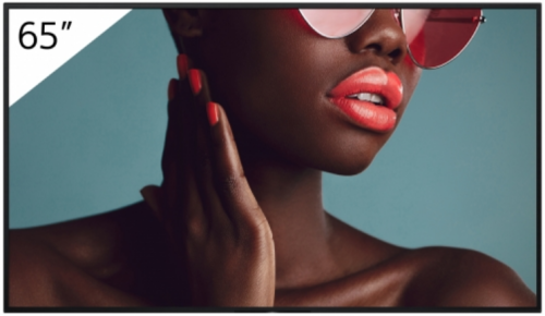 Sony FW-65BZ40L pantalla de señalización Pantalla plana para señalización digital 165,1 cm (65") LCD Wifi 700 cd / m² 4K Ultra HD Negro Android 24/7 - Imagen 2