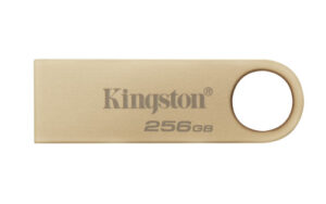 Kingston Technology DataTraveler SE9 G3 unidad flash USB 256 GB USB tipo A 3.2 Gen 1 (3.1 Gen 1) Oro