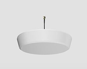 Zyxel IBCACCY-ZZ0102F antena para red SMA