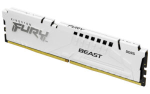 Kingston Technology FURY Beast módulo de memoria 32 GB 1 x 32 GB DDR5