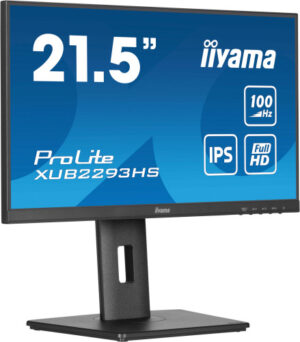 MONITOR IIYAMA TFT 21,5"/54,5CM PROLITE