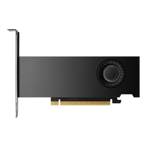 PNY NVIDIA RTX 2000 Ada Generation 16 GB GDDR6