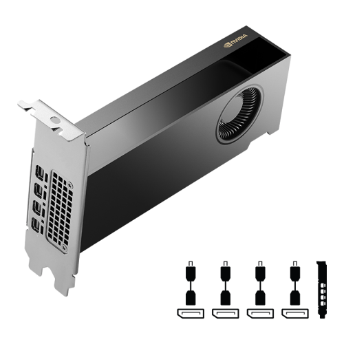 PNY NVIDIA RTX 2000 Ada Generation 16 GB GDDR6 - Imagen 3