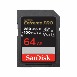 SanDisk SDSDXEP-064G-GN4IN memoria flash 64 GB SDXC UHS-II Clase 10