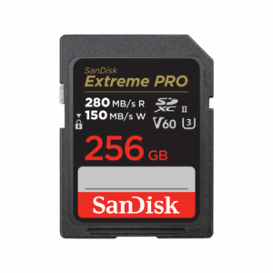 SanDisk SDSDXEP-256G-GN4IN memoria flash 256 GB SDXC UHS-II Clase 10