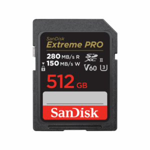 SanDisk SDSDXEP-512G-GN4IN memoria flash 512 GB SDXC UHS-II Clase 10
