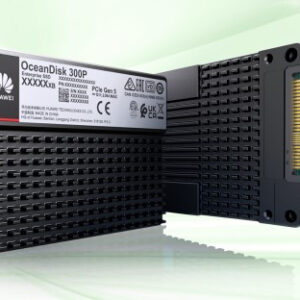 HUAWEI SSD INTERNO Oceandisk 300P ES3500P V6 STLZW2NVME7680 7.68TB SSD NVMe Disk Unit(2.5),sectorsize-512,V120-YX2e,MTC,BJ,HSSD