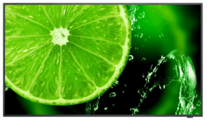 NEC MultiSync E658 165,1 cm (65") IPS 350 cd / m² 4K Ultra HD Negro 16/7