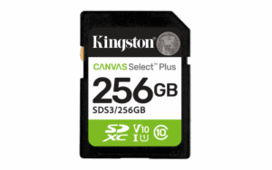 Kingston Technology 256 GB SDXC Canvas Select Plus Gen3 150 MB/s C10 UHS-I U1 V10