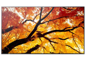 Sharp MultiSync M752 Panel plano interactivo 189,2 cm (74.5") LED 550 cd / m² 4K Ultra HD Negro 24/7