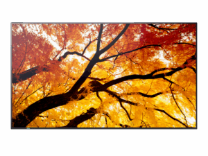 Sharp MultiSync M432 Pantalla plana para señalización digital 108 cm (42.5") LCD 550 cd / m² 4K Ultra HD Negro