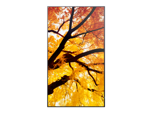 Sharp MultiSync M322 Pantalla plana para señalización digital 81,3 cm (32") LCD 550 cd / m² Full HD Negro - Imagen 8