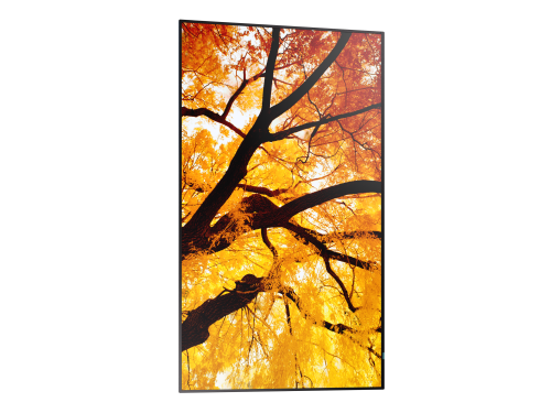 Sharp MultiSync M322 Pantalla plana para señalización digital 81,3 cm (32") LCD 550 cd / m² Full HD Negro - Imagen 10