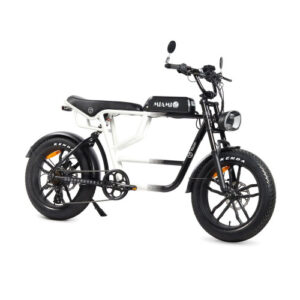 YOUIN E-BIKE URBAN STYLE FAT 2