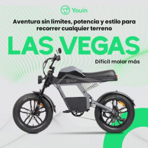YOUIN E-BIKE URBAN STYLE FAT