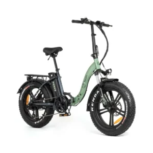 YOUIN TRICICLO E-BIKE CARGO YO