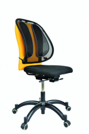 RESPALDO LUMBAR MESH OFFICE FELLOWES 9191301