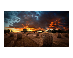 Samsung VM55B-U Interior