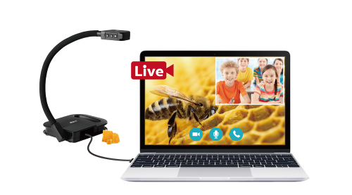 AVer U70+ cámara de documentos Negro 25,4 / 3,06 mm (1 / 3 - Imagen 14