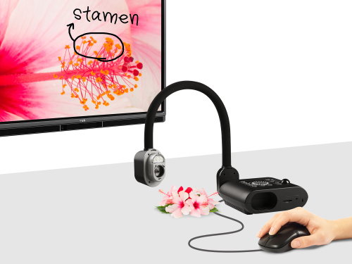 AVer F50-8M cámara de documentos Negro 25,4 / 3,2 mm (1 / 3 - Imagen 14