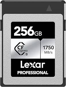 LEXAR 256GB PROFESSIONAL CFEXPRESS TYPE B CARD SILVER, UP