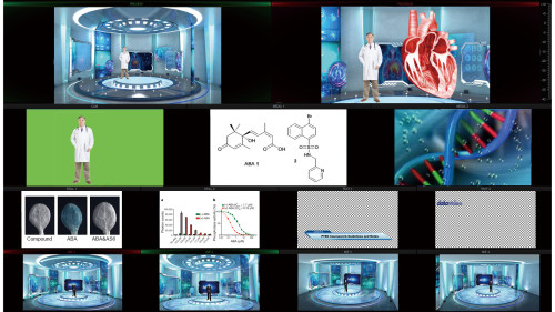 DataVideo TVS-3000 4K Ultra HD - Imagen 3