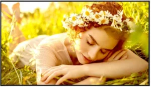 LG (50UL5Q-E) 50 IN / UHD 3840 X 2160 / BRILLO 400 NITS