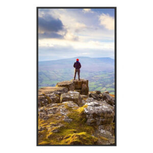 SHARP ESSENTIAL DISPLAYS MODEL PN-E439, 43" E-SERIES LARGE