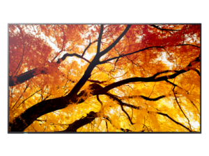 SHARP MIDRANGE DISPLAYS MODEL PN-M862, 86" M-SERIES LARGE