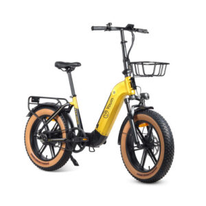YOUIN E-BIKE 20" FAT YOUIN LU