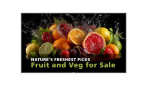 PHILIPS 24x7 ( ANDROID 11 SoC) 86" D-LINE, UHD, 600CD, 24/7